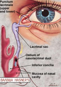 apofraksh-karageorgopoulos1