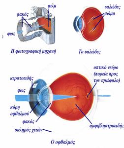 clip_image013